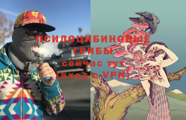 spice Саяногорск