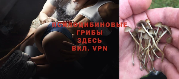 МДПВ Сафоново