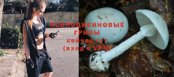 МДПВ Сафоново