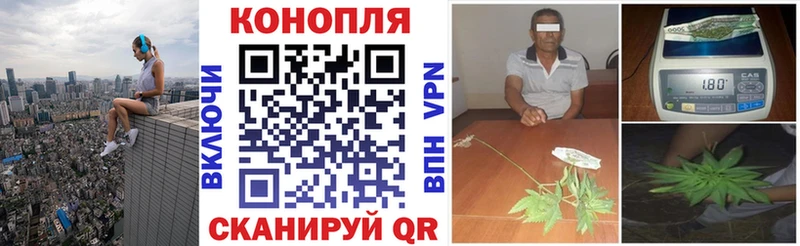 Бошки Шишки VHQ Усинск